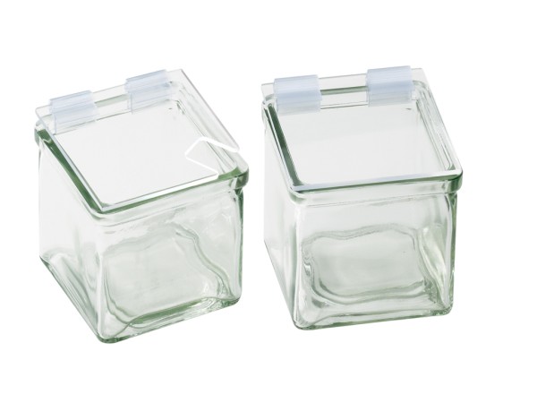 Hinged Square Plastic Lid