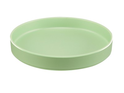 Hudson - Matcha 10" Raised Rim Melamine Plate