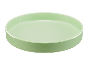 Hudson - Matcha 12" Raised Rim Melamine Plate