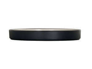Hudson 12" Black and Ivory Plate