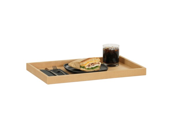 Renew 12X20X1.5 Tray