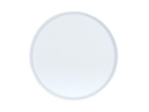 Arista 10“ White Plate