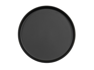 Arista 10" Raised Rim Black Plate