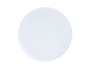 Selene 10" Plate-White