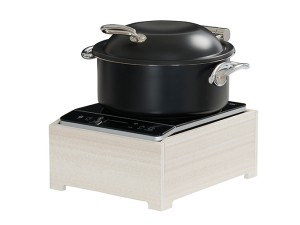 Vista Induction Unit-Coastal