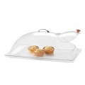 Classic Clear Dome Display Cover with Single End Opening and Door - 12