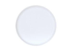Sophie 8" Stone Blue and White Plate